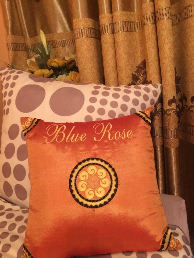 קרלובי וארי Blue Rose Apartman מראה חיצוני תמונה