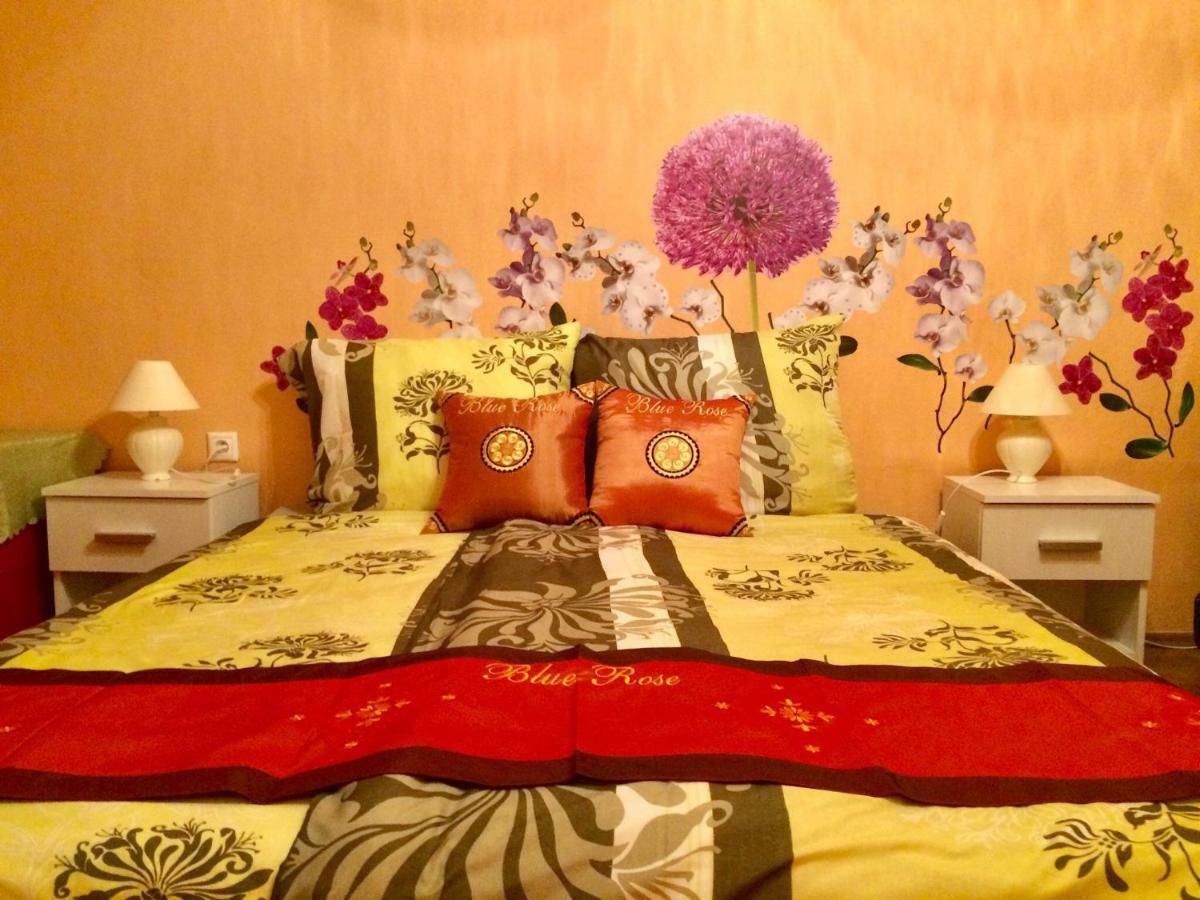 קרלובי וארי Blue Rose Apartman מראה חיצוני תמונה