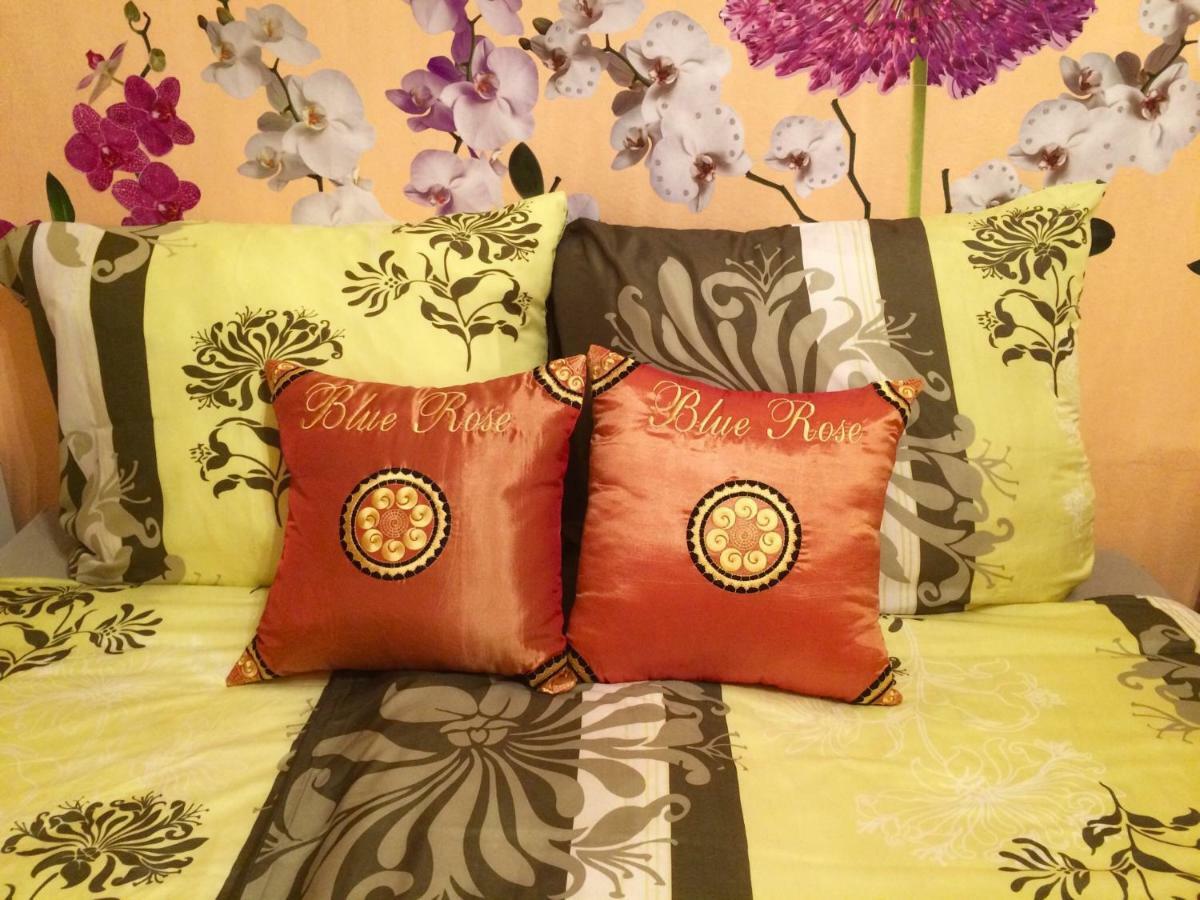 קרלובי וארי Blue Rose Apartman מראה חיצוני תמונה